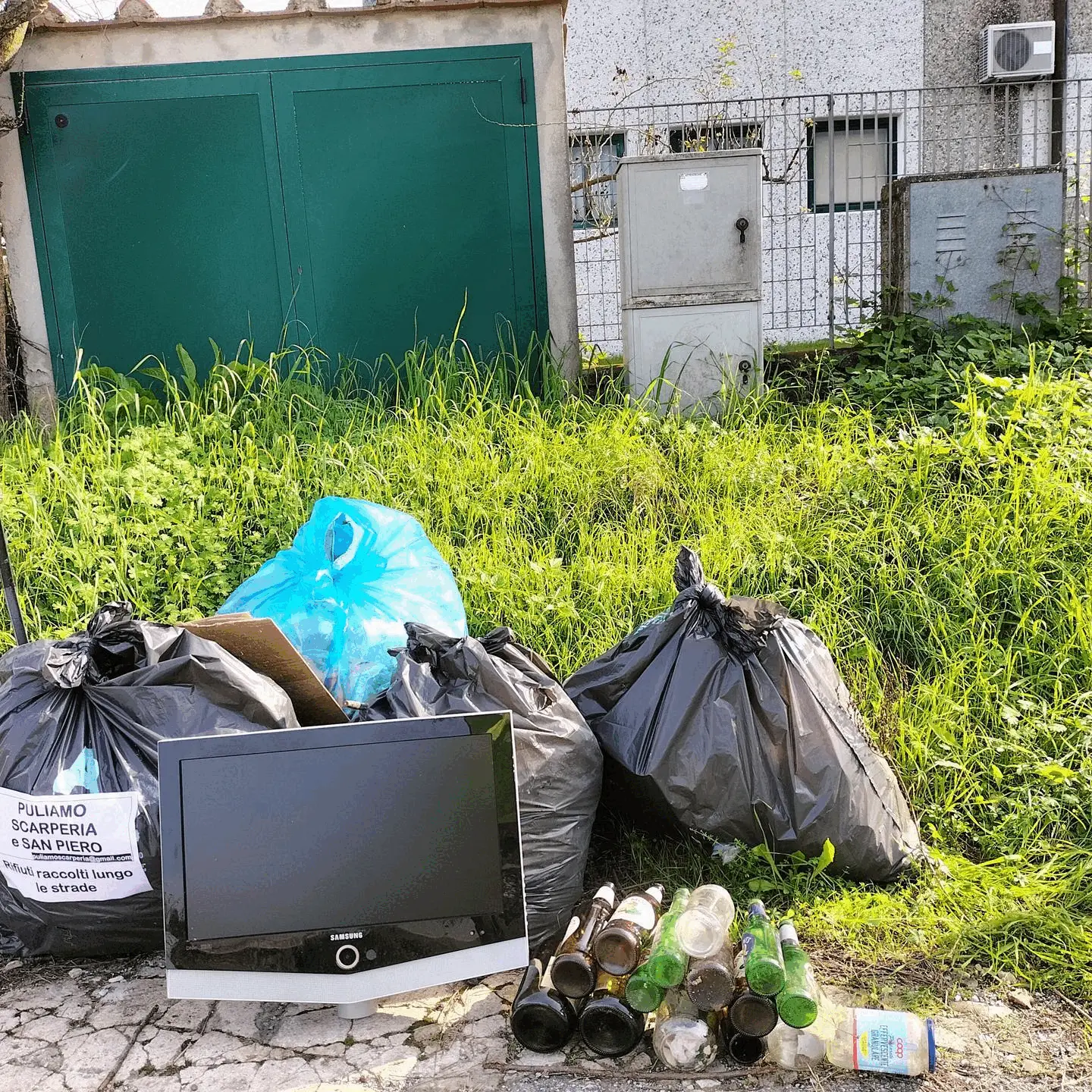 Immagine della giornata
