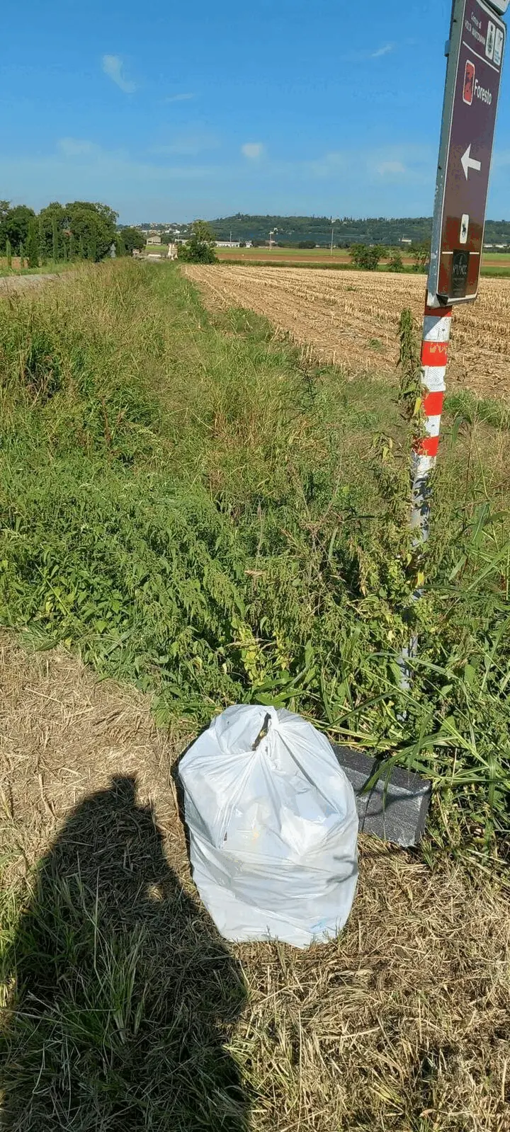 Immagine della giornata
