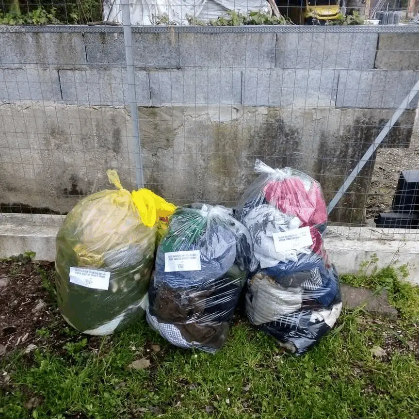 Immagine della giornata