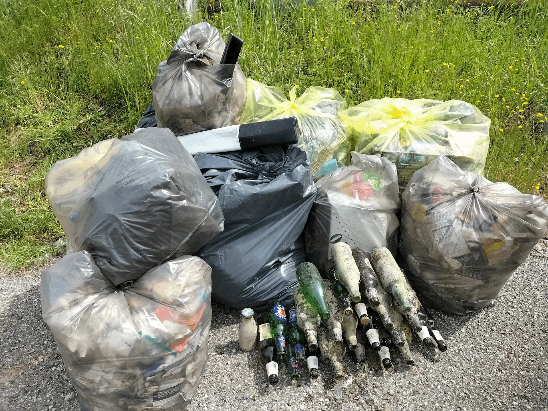 Immagine della giornata