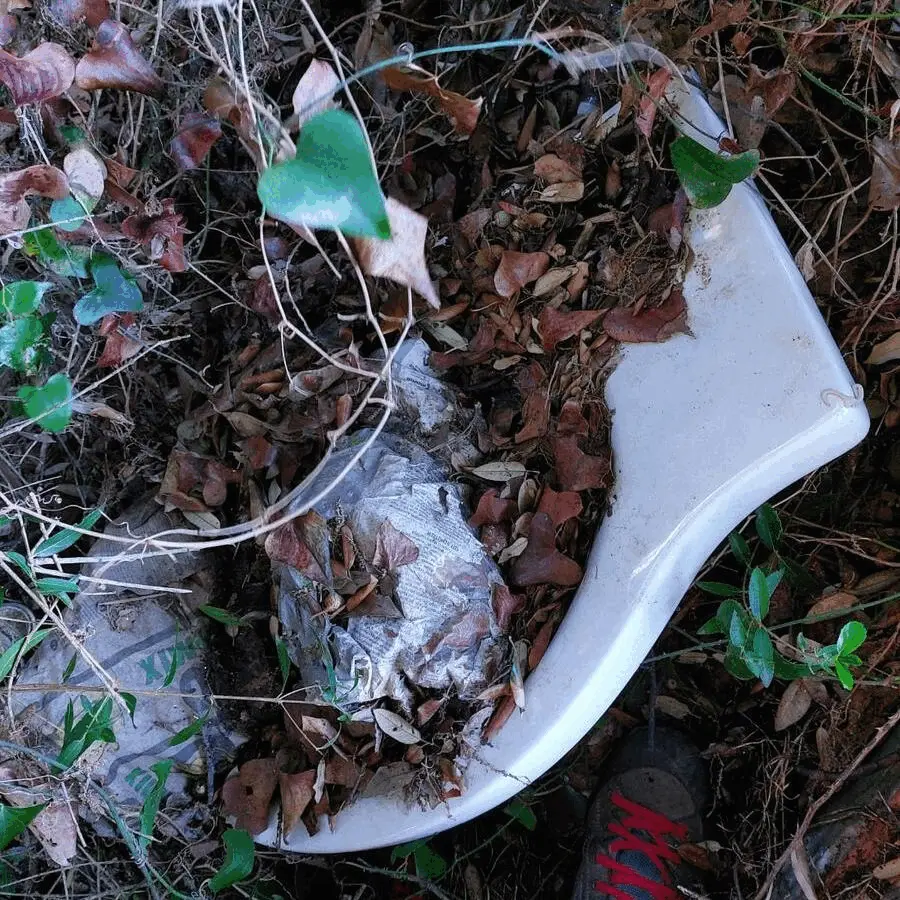 Immagine della giornata