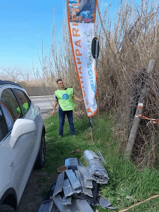 Immagine della giornata