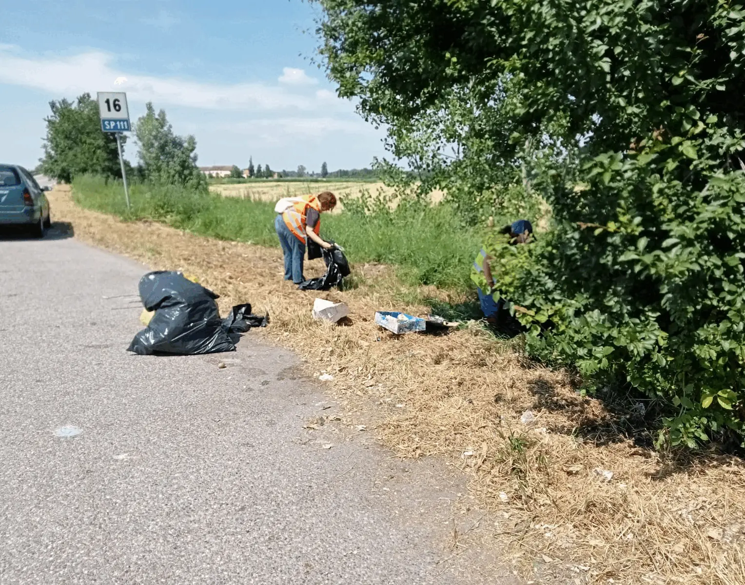 Immagine della giornata