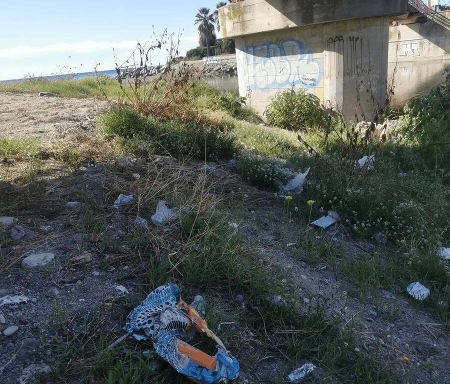 Immagine della giornata