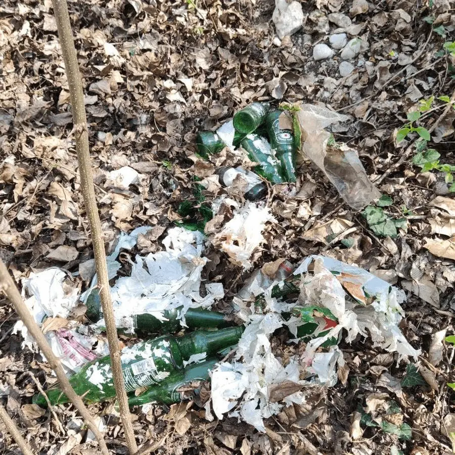 Immagine della giornata