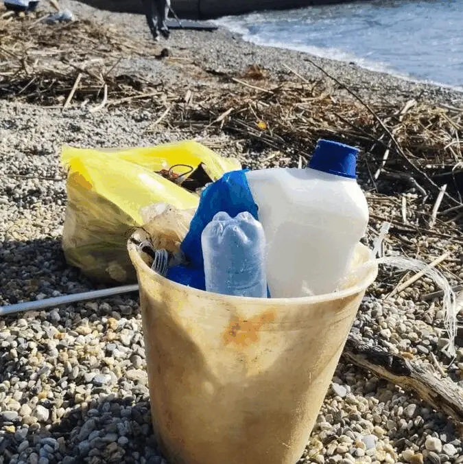 Immagine della giornata