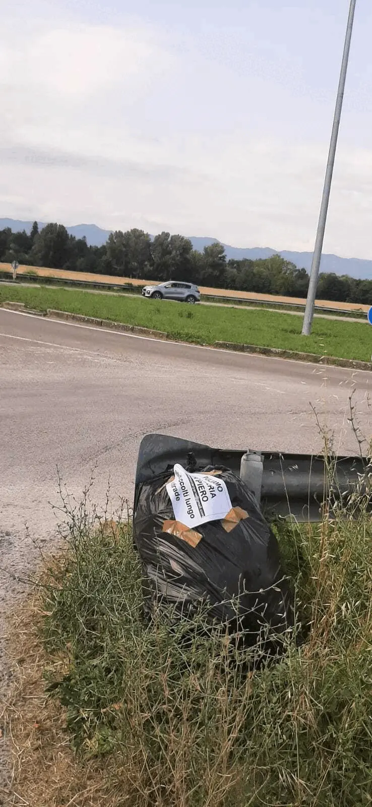 Immagine della giornata