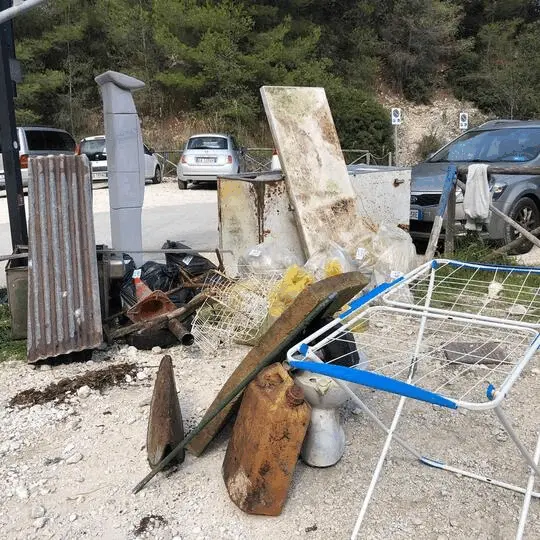 Immagine della giornata