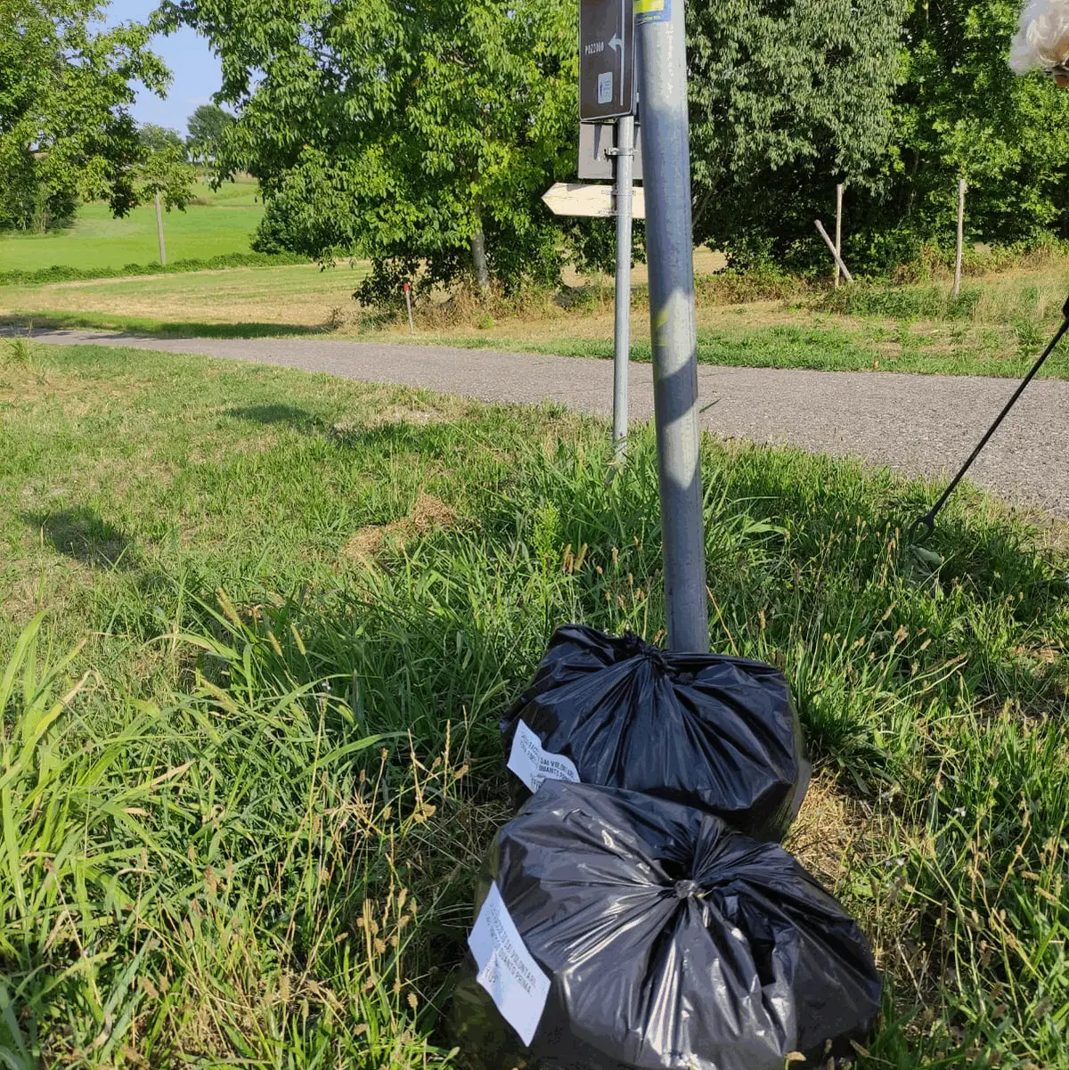 Immagine della giornata