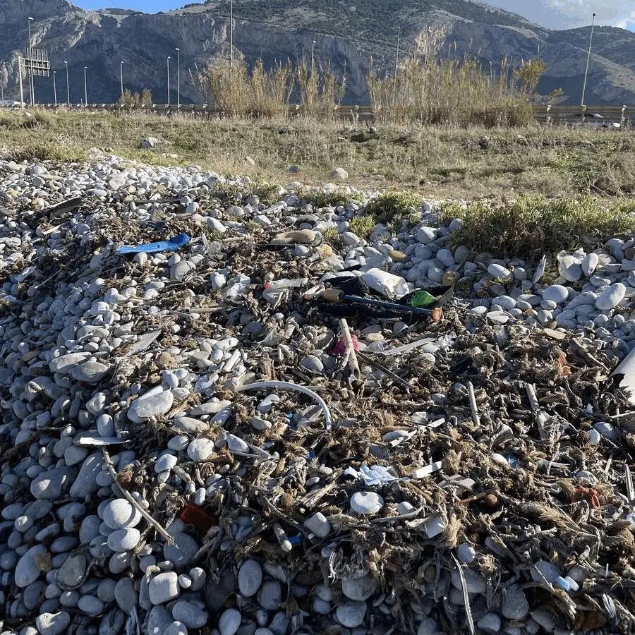 Immagine della giornata
