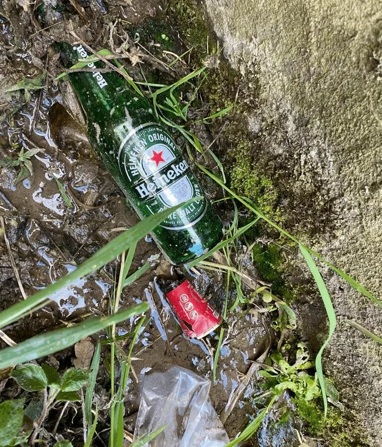 Immagine della giornata
