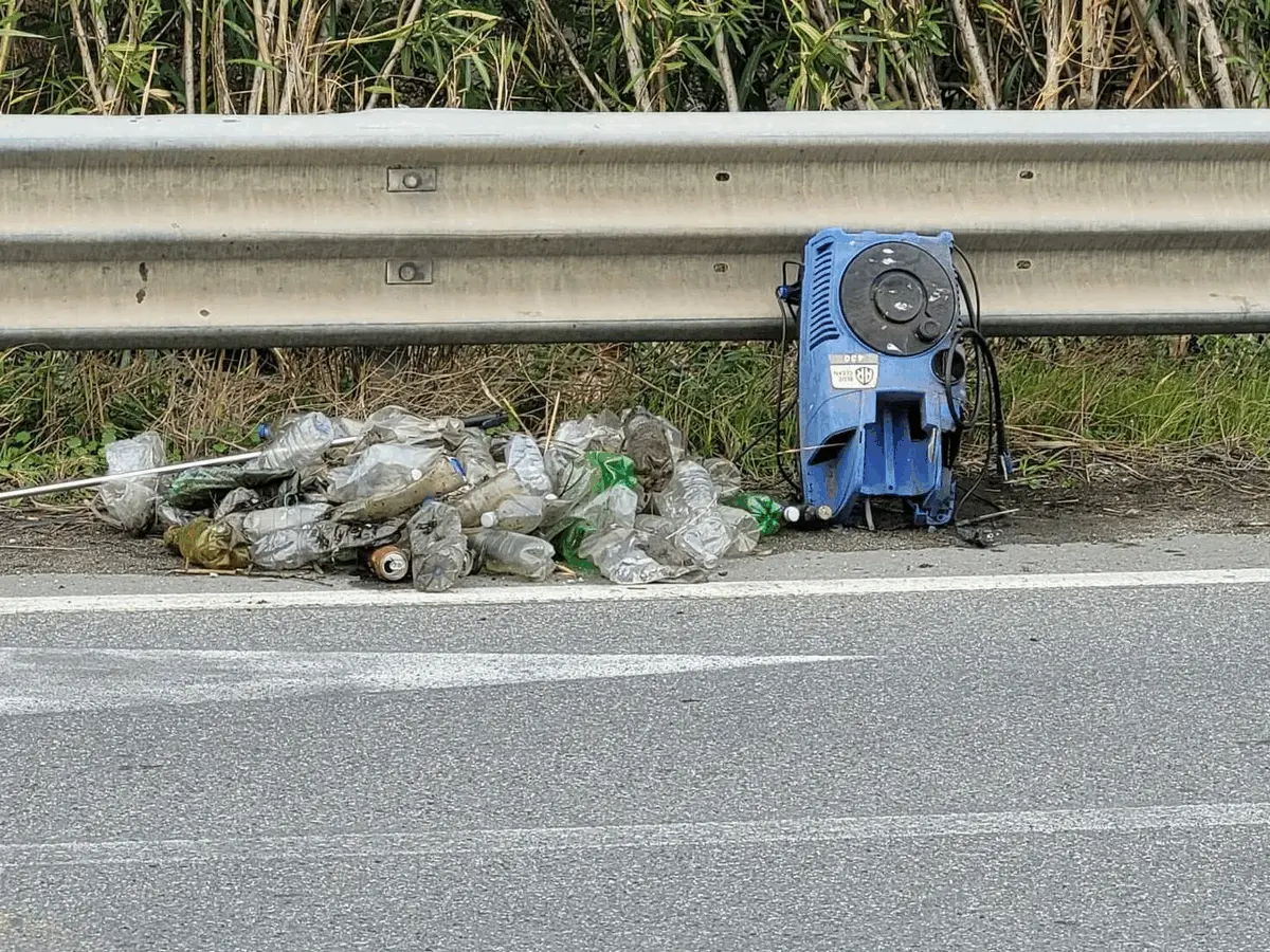 Immagine della giornata