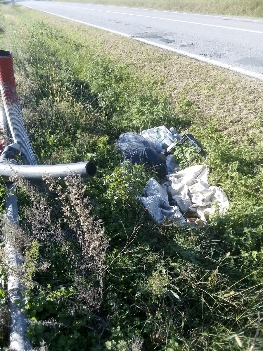 Immagine della giornata