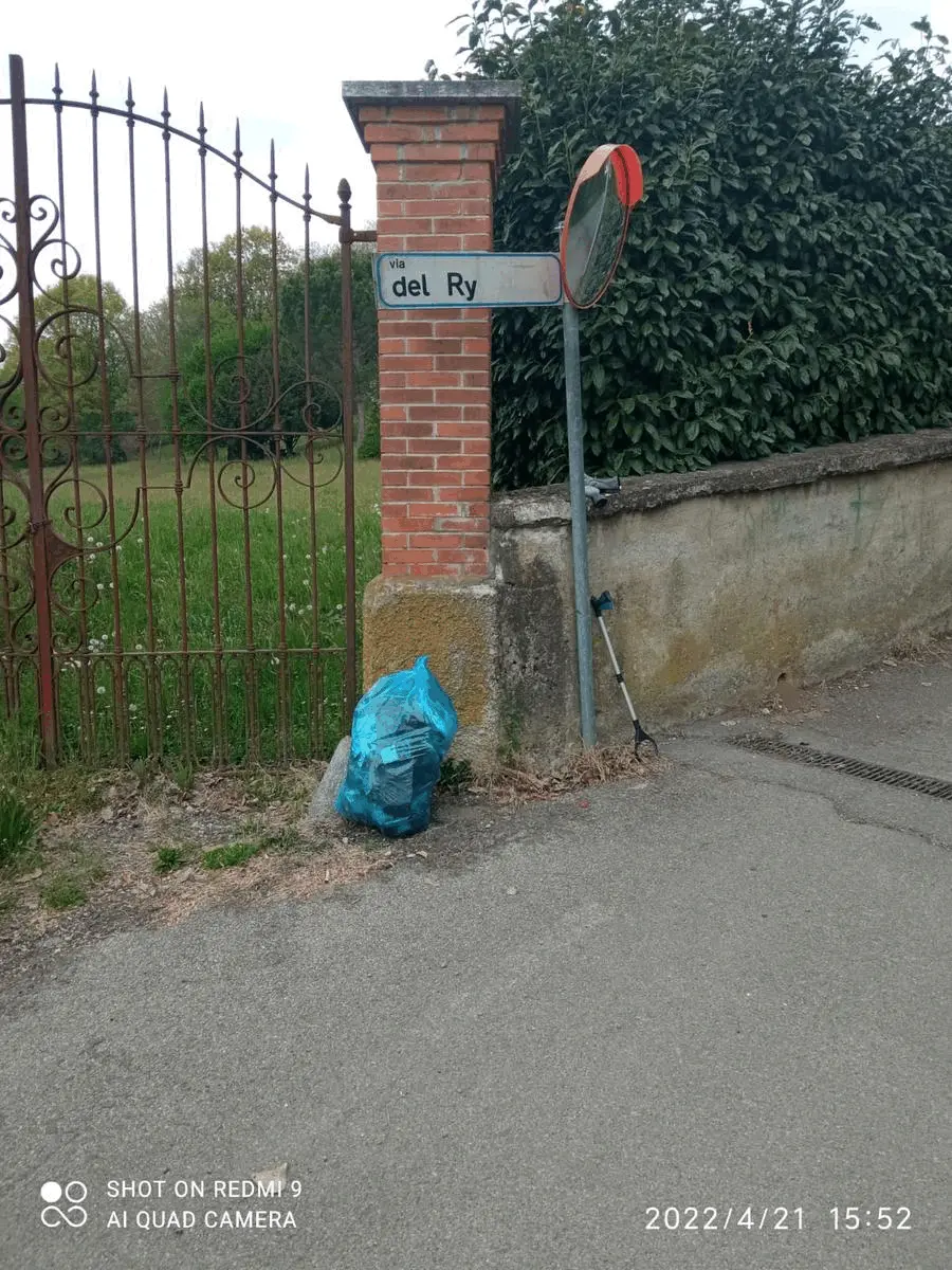 Immagine della giornata
