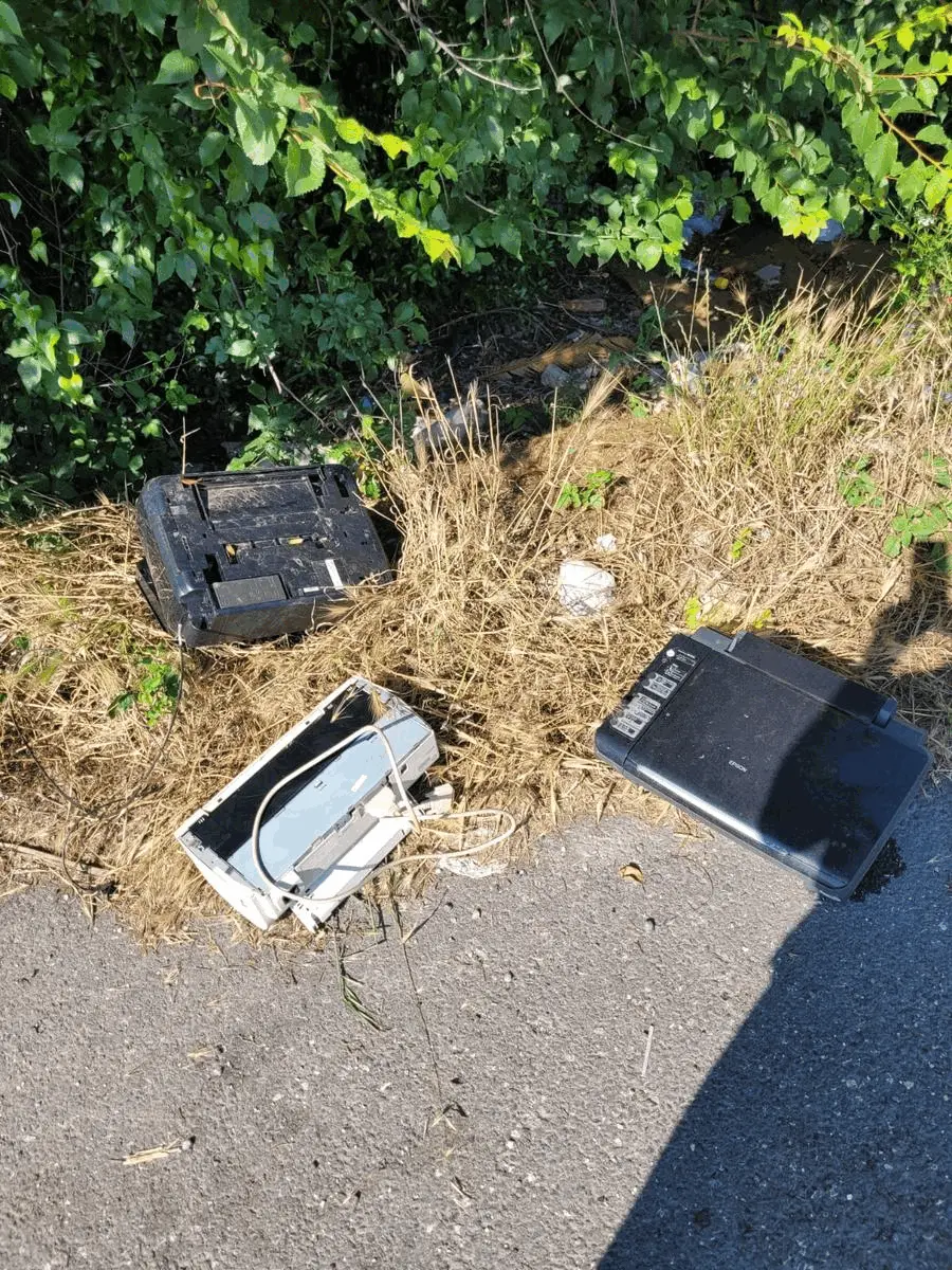 Immagine della giornata