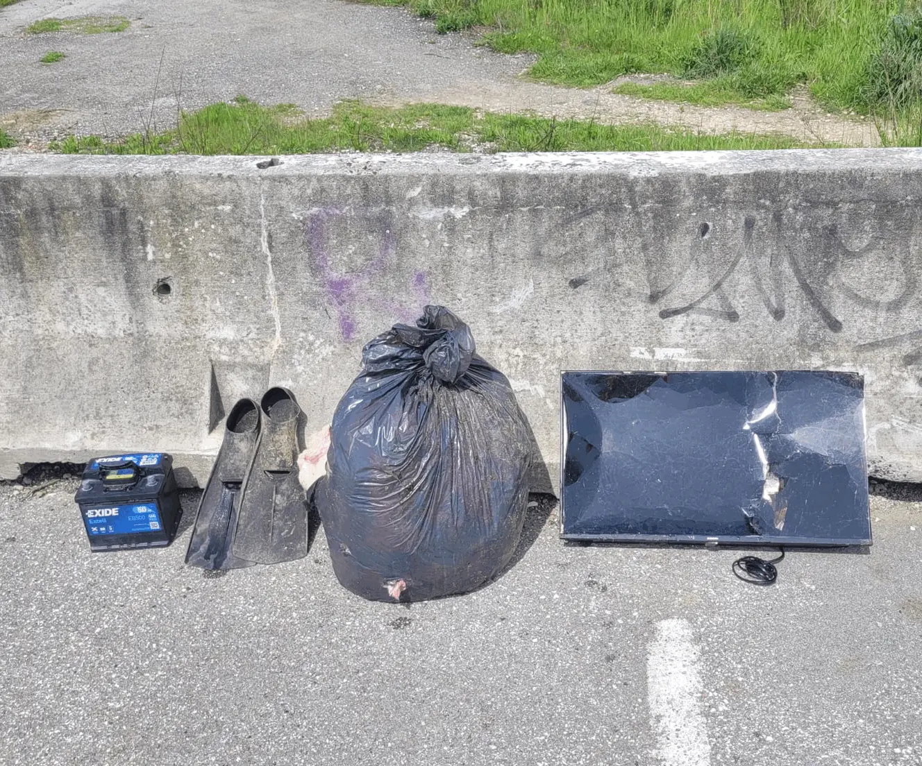 Immagine della giornata