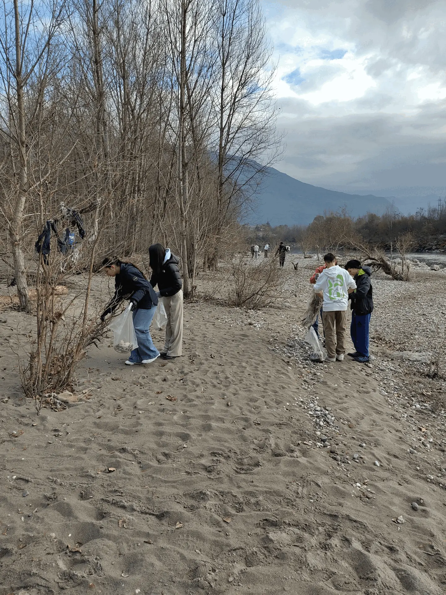 Immagine della giornata