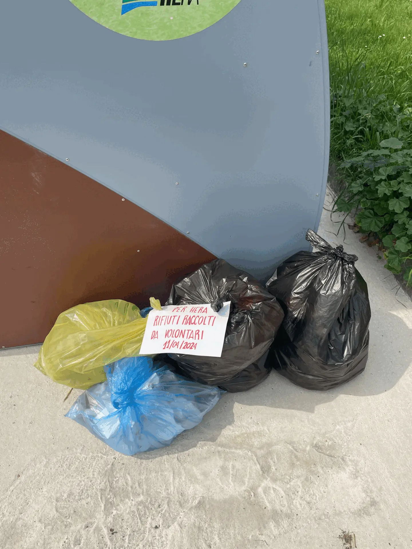 Immagine della giornata