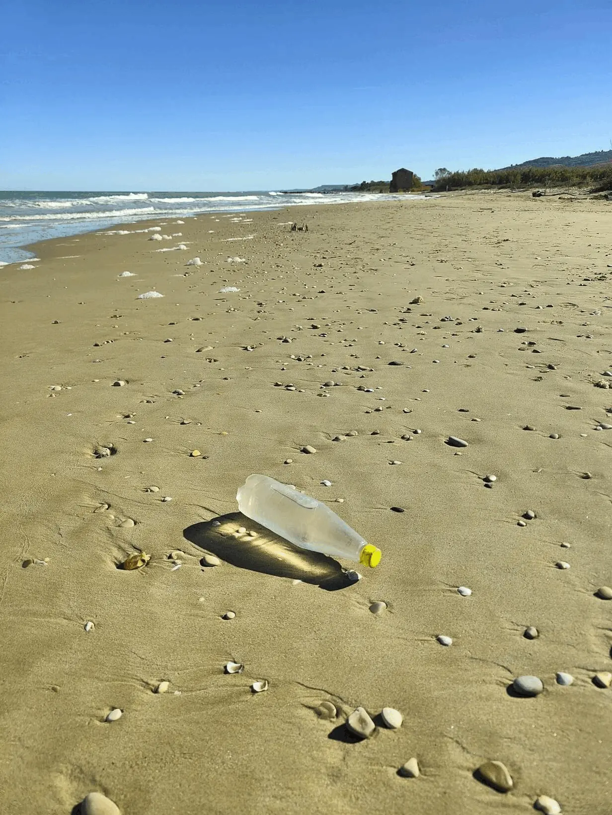 Immagine della giornata