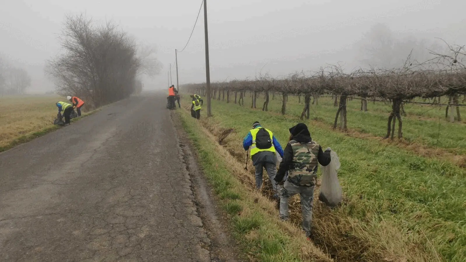 Immagine della giornata