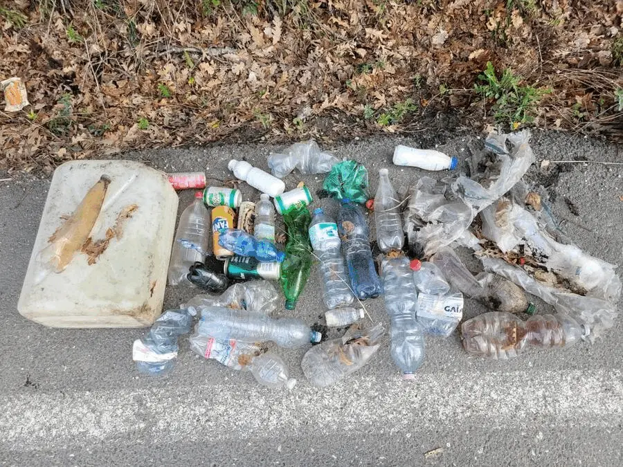 Immagine della giornata