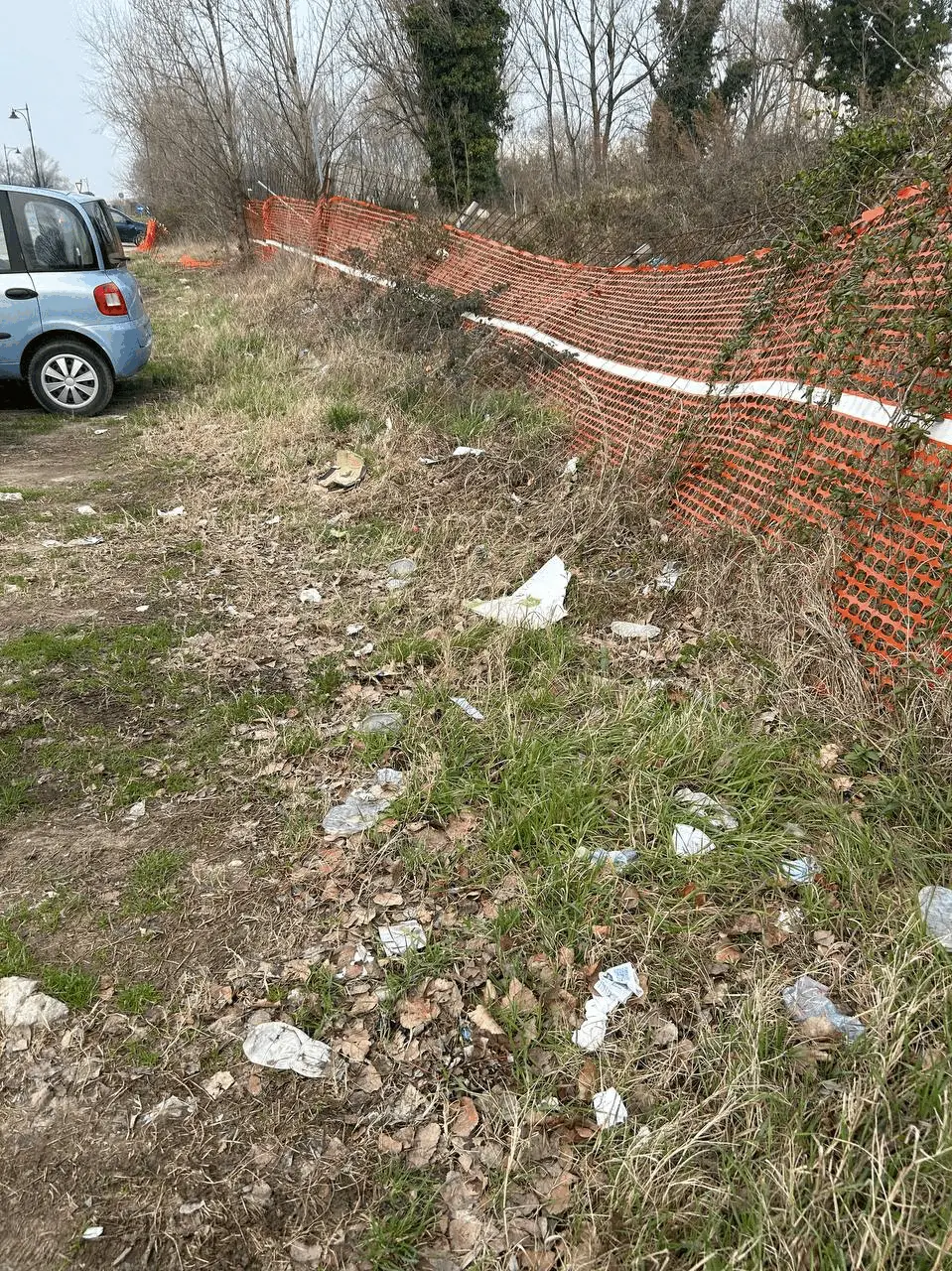 Immagine della giornata
