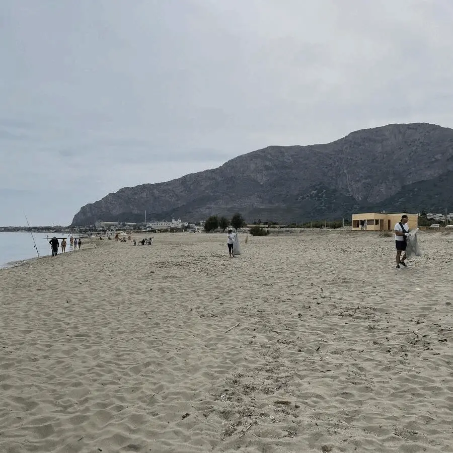 Immagine della giornata