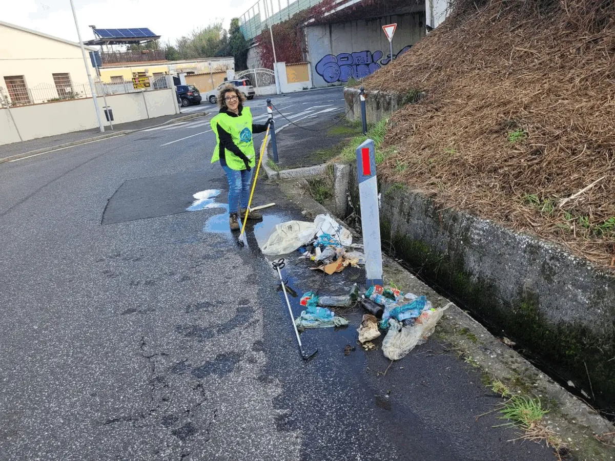 Immagine della giornata