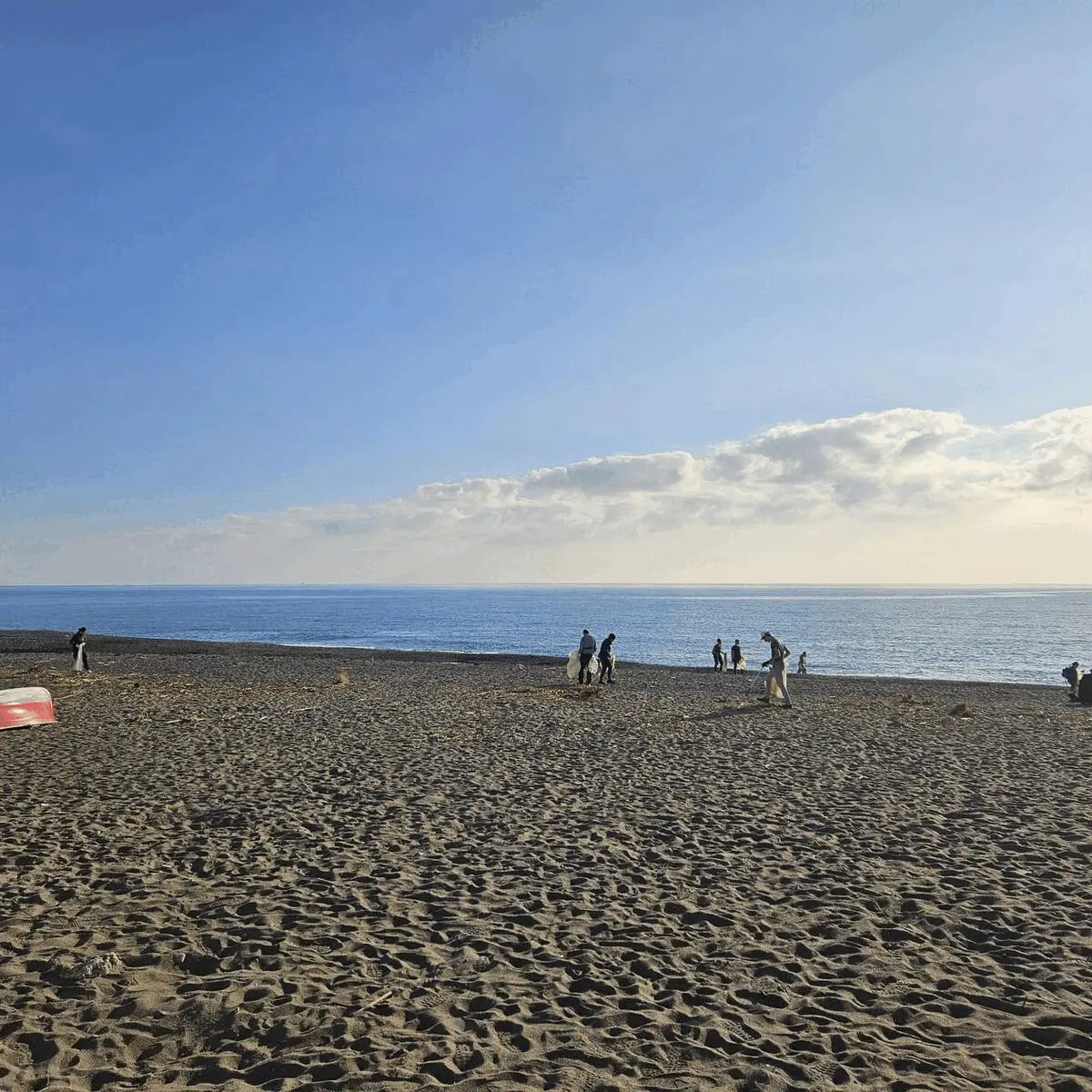 Immagine della giornata