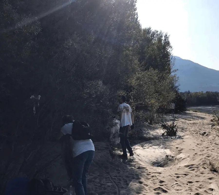 Immagine della giornata