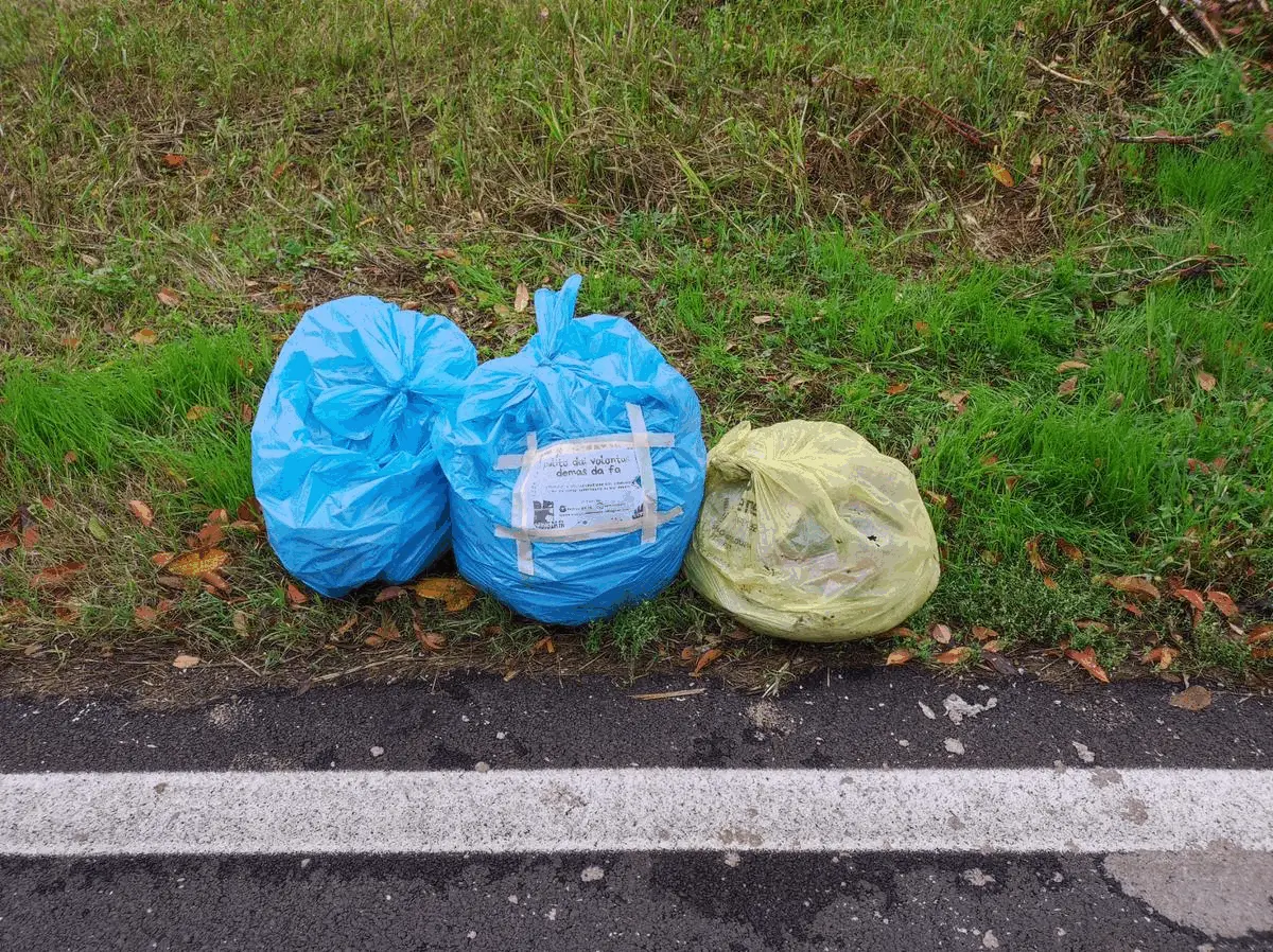 Immagine della giornata