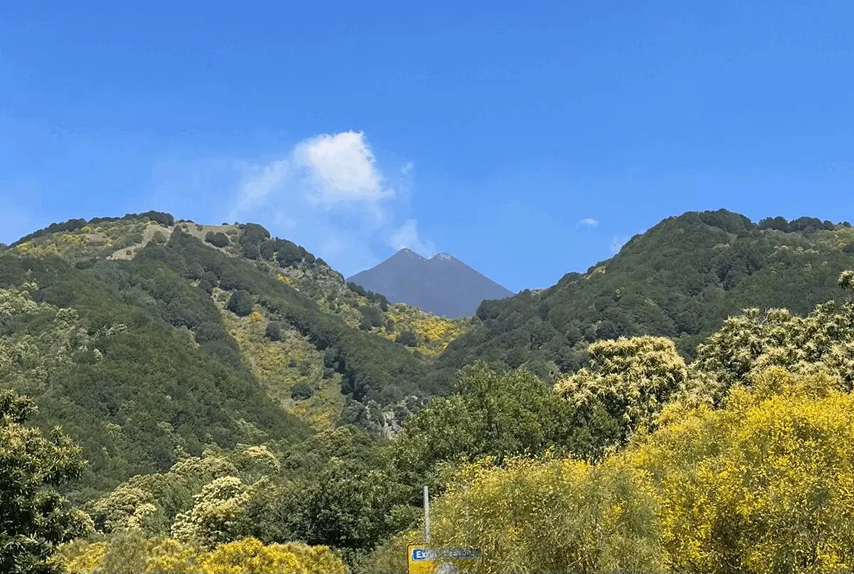 Immagine della giornata