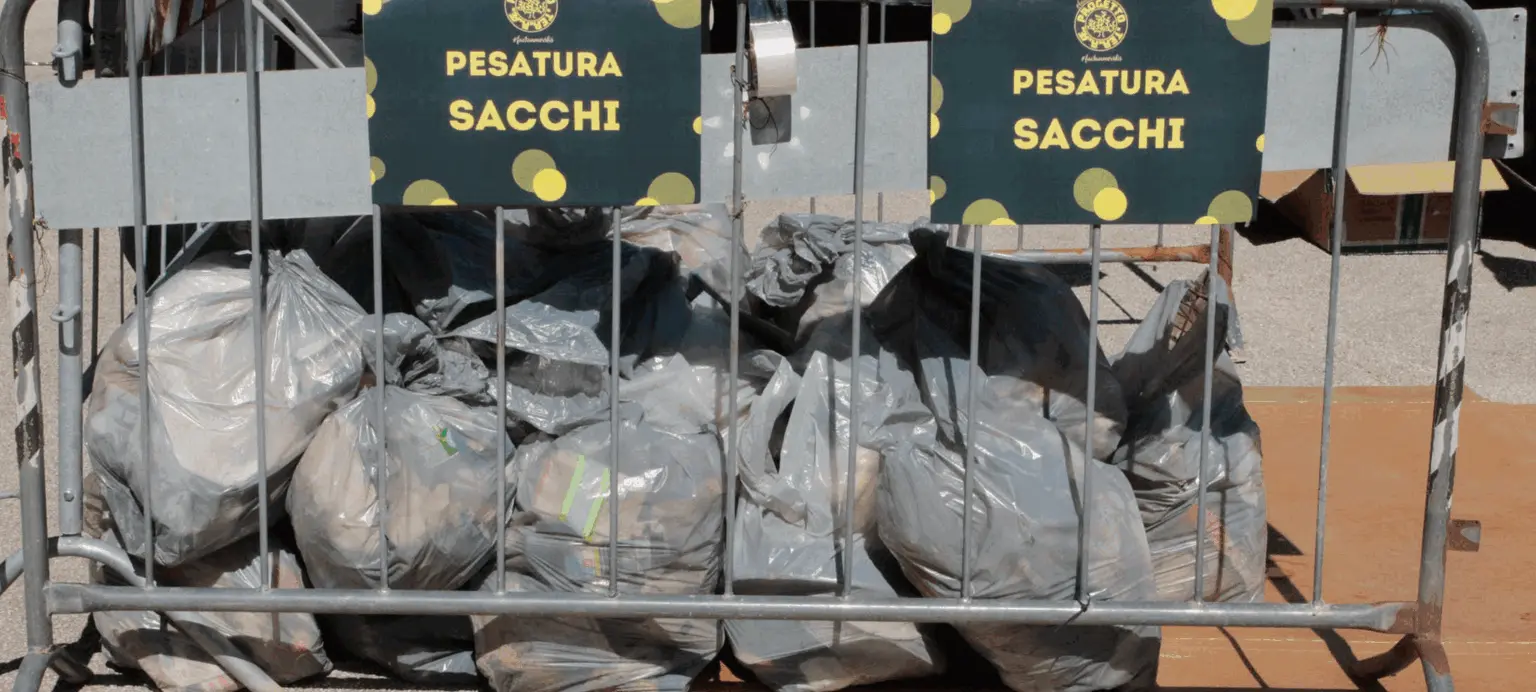 Immagine della giornata
