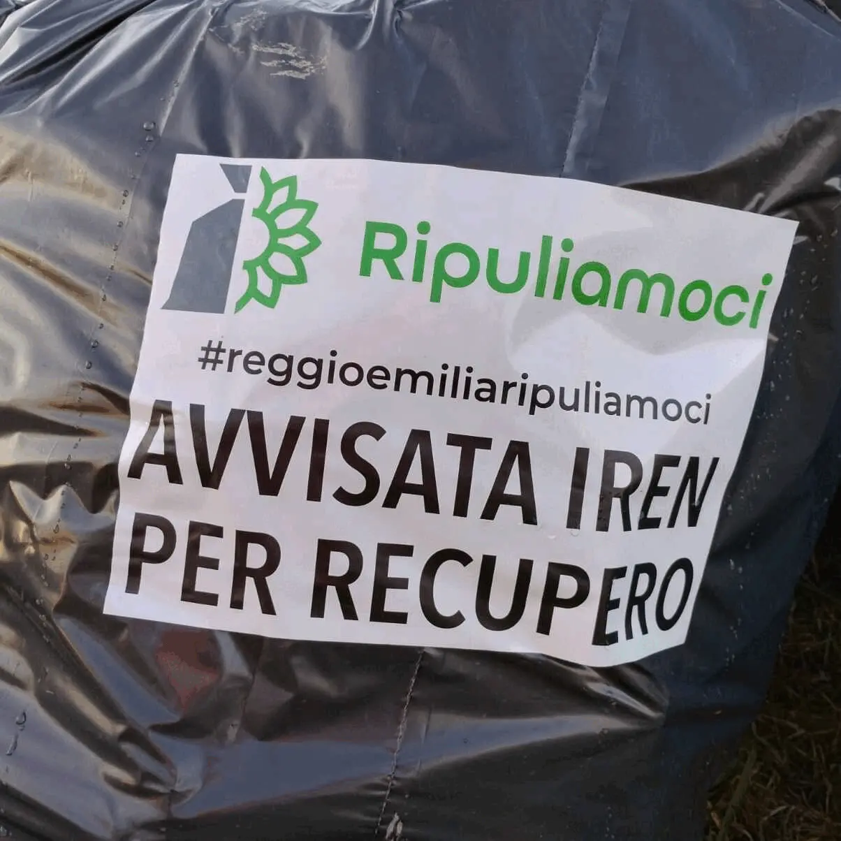 Immagine della giornata