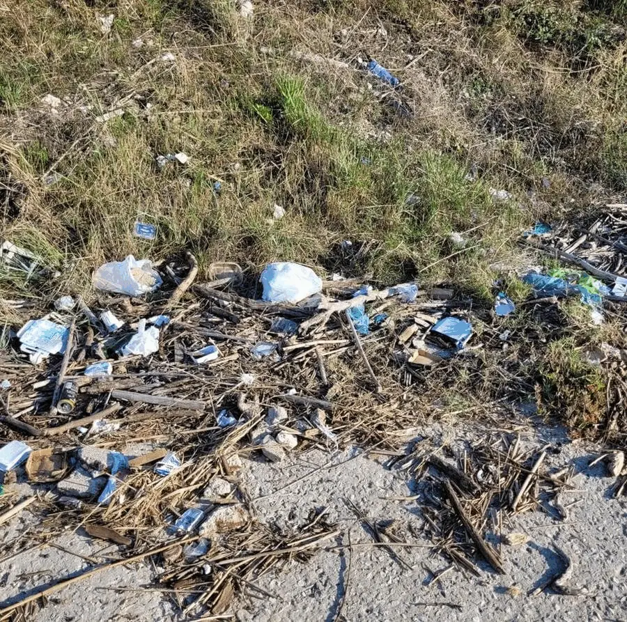 Immagine della giornata