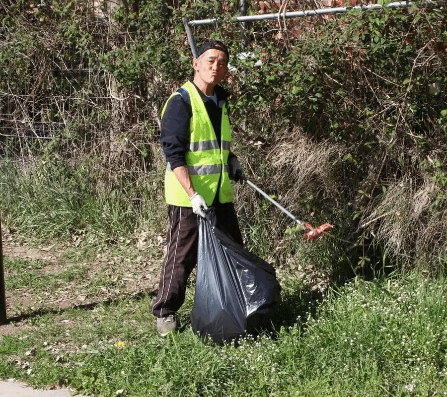 Immagine della giornata