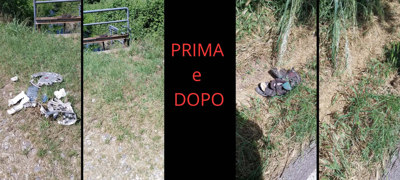 Immagine della giornata
