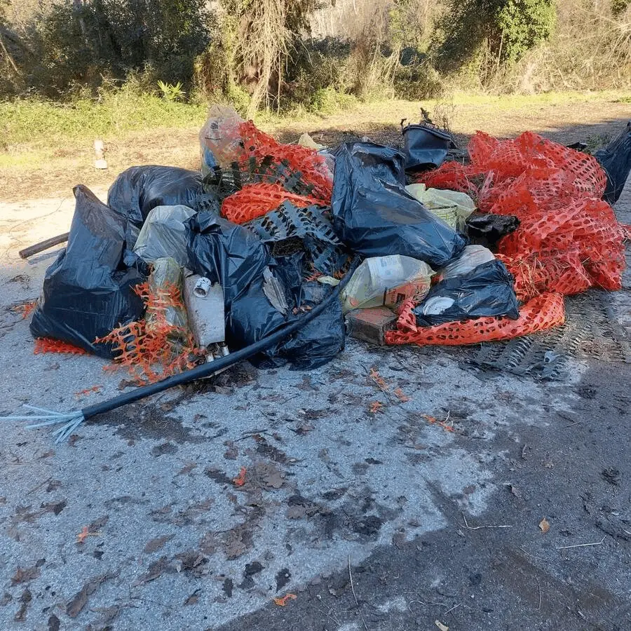 Immagine della giornata