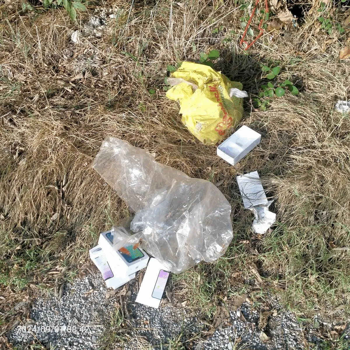 Immagine della giornata