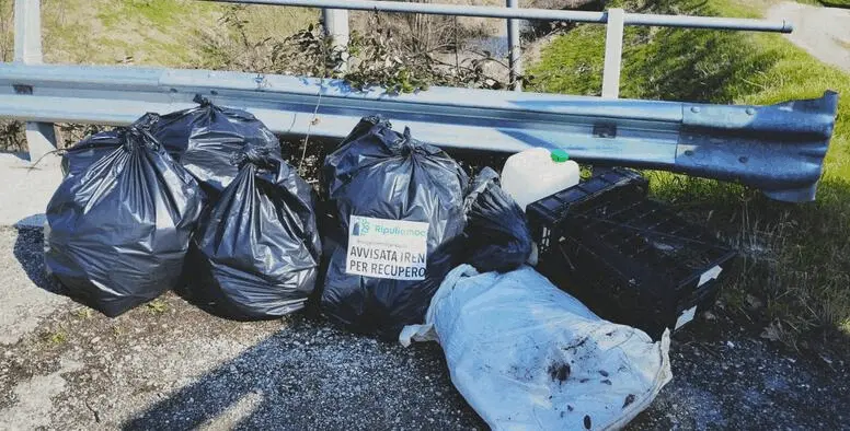 Immagine della giornata