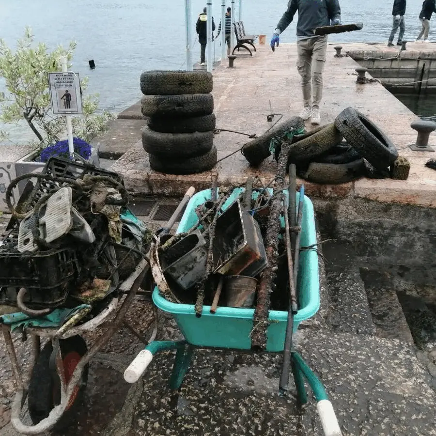 Immagine della giornata