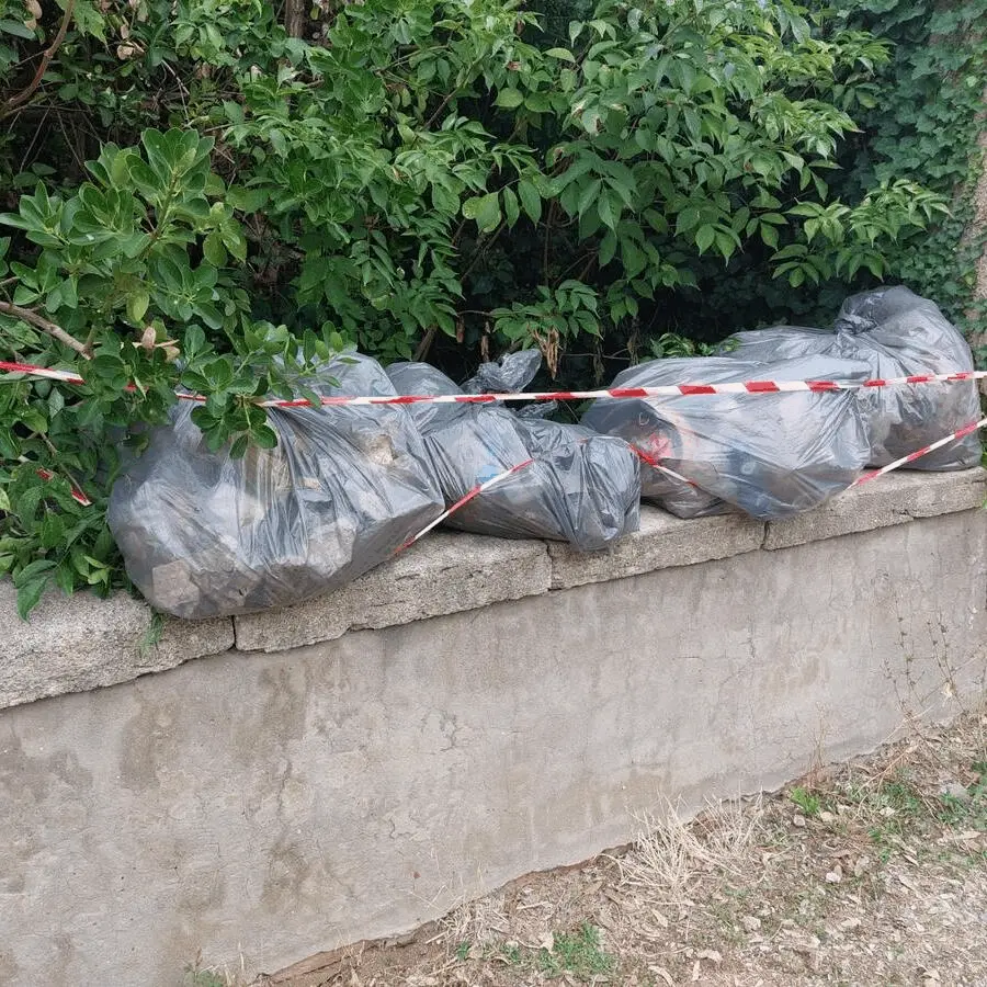 Immagine della giornata
