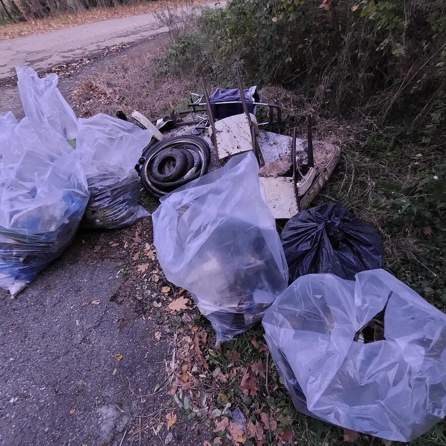 Immagine della giornata