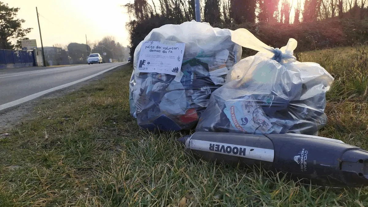 Immagine della giornata