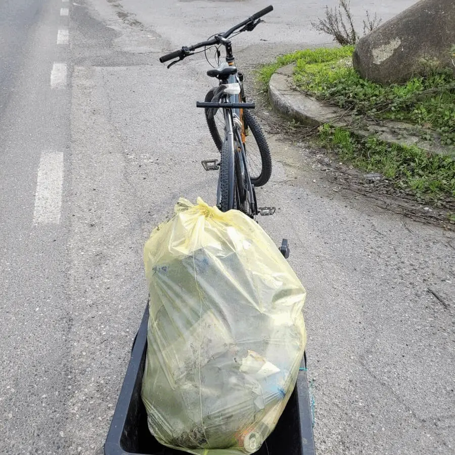 Immagine della giornata