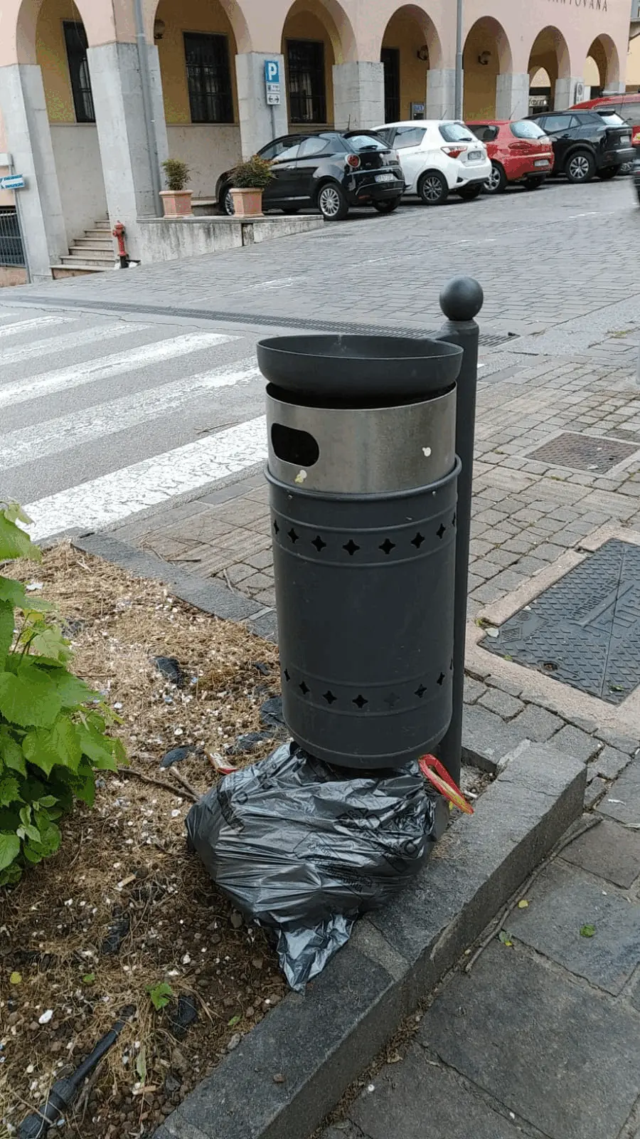 Immagine della giornata