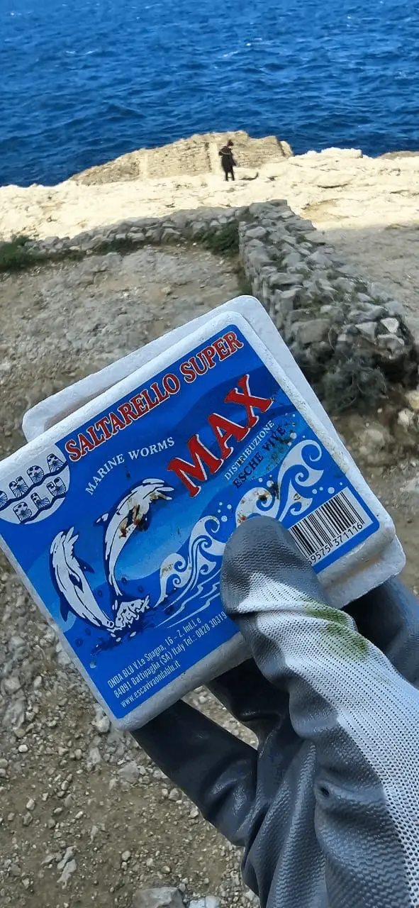 Immagine della giornata