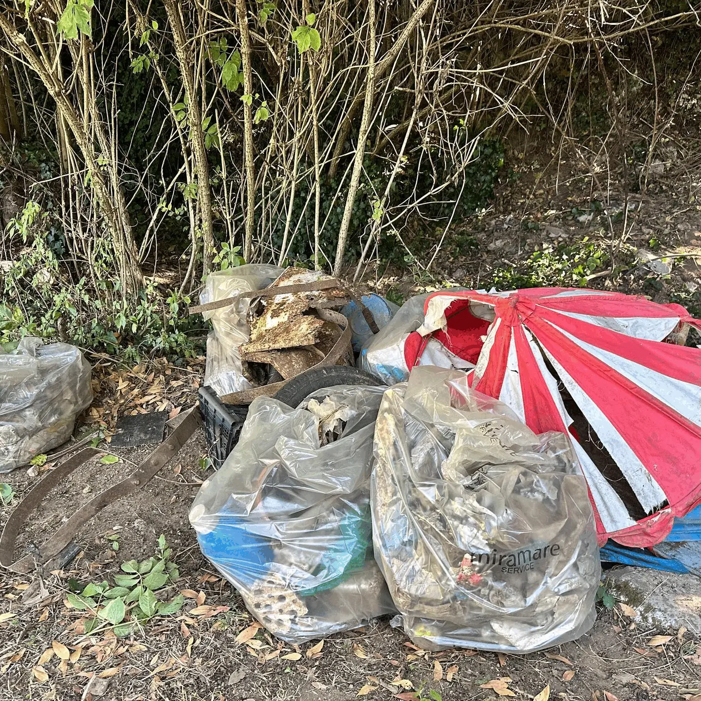 Immagine della giornata