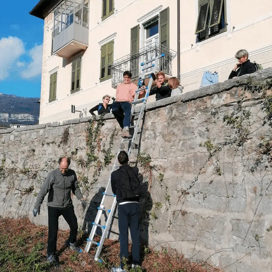 Immagine della giornata