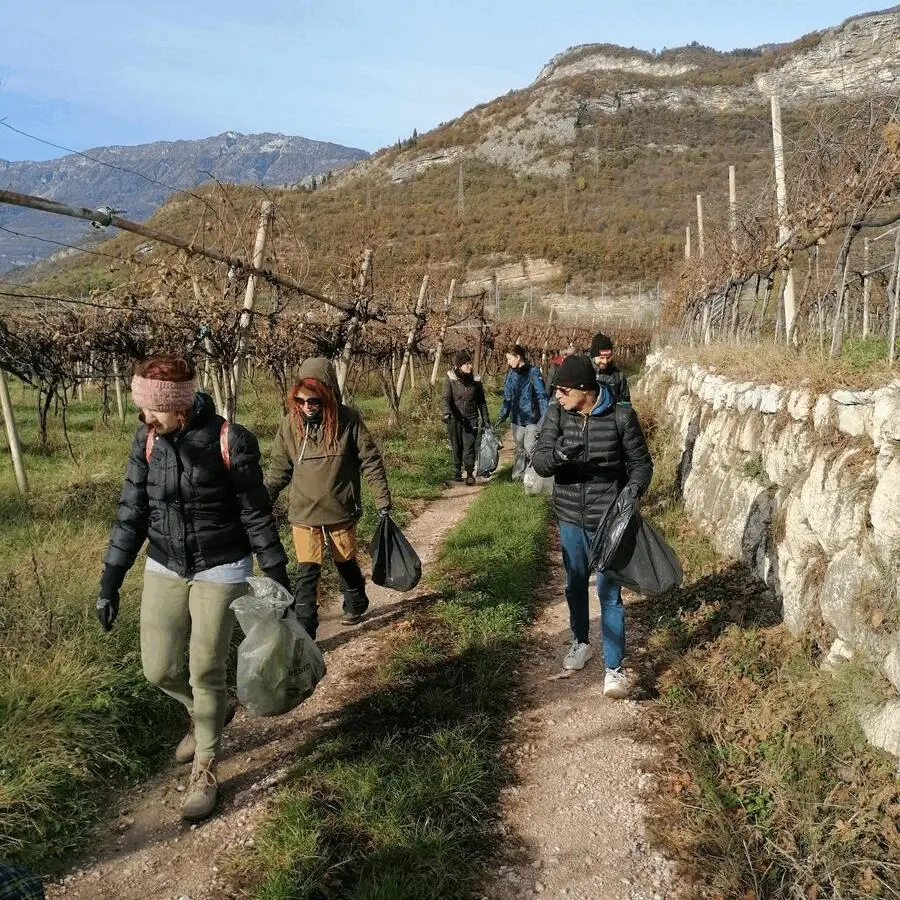 Immagine della giornata